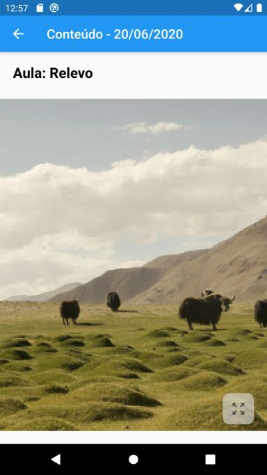 Screenshot of an image media related to the content 'relief', showing some bulls in a pasture